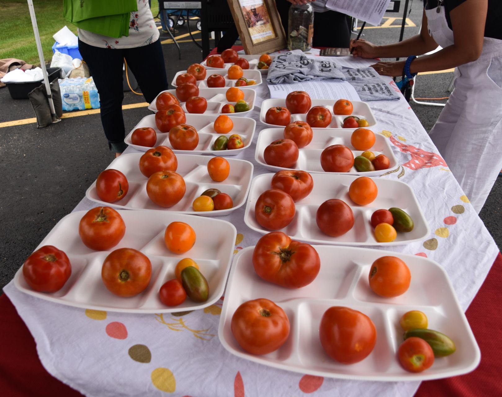 Tomato 3